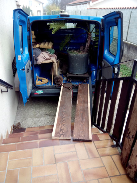 dchargement du philodendron